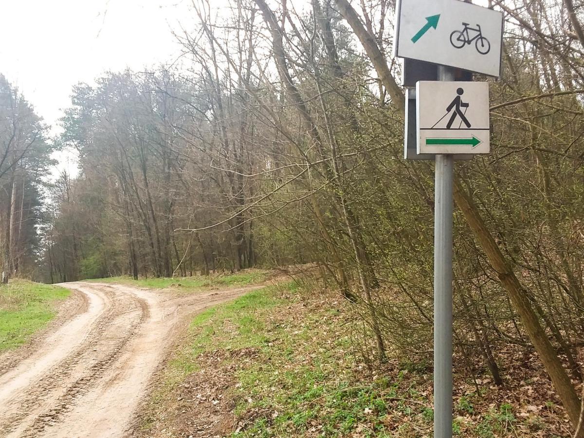Dworek Akacja Uslugi Hotelarskie Janowiec Exteriör bild