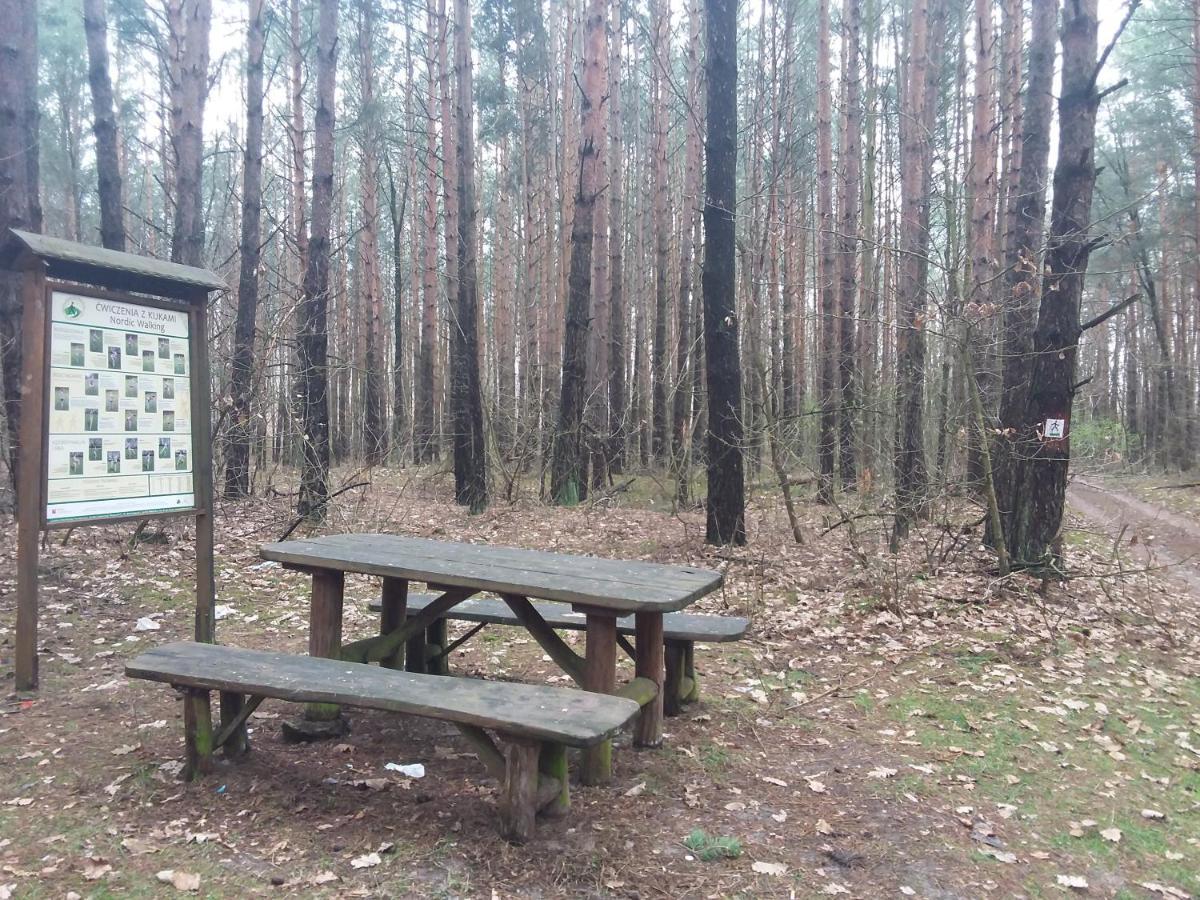 Dworek Akacja Uslugi Hotelarskie Janowiec Exteriör bild