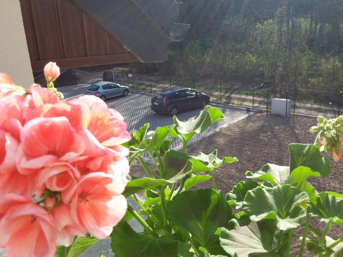 Dworek Akacja Uslugi Hotelarskie Janowiec Exteriör bild